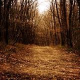 Festival Geyser - Deep and Techno Mix (October 2013)