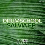 drumschool - Magic Mint - (Original Mix)