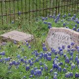 Radio EdSoft Films - 30.texas - Episode 1