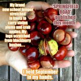 Springfield Road Audio Book Sample: Chapter 22 / BONFIRE TREACLE