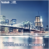 Yankee's House & Electro MashUp #7 (2013)