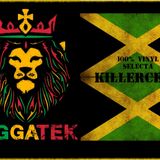 100% raggatek