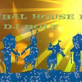 Tribal House Mix by Dj BoLt