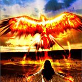 Be As The Phoenix