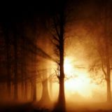 Eva Pacifico - The Light That Casts The Shadows