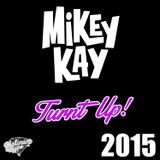 Turnt Up R&B 2015 - By DJ Mikey Kay