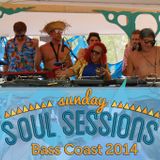 DJ K-Tel - Bass Coast Sunday Soul Sessions 2014
