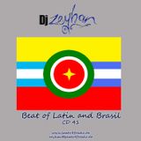DJ Zeyhan - Beat of Latin and Brasil - CD 41