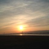 日本の夏、メロウの夏。