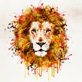 Tyler jay feb promo mix
