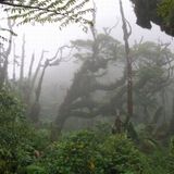 0 bpm ambient mix Vol5 by jonesy