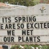 Funked Up Spring