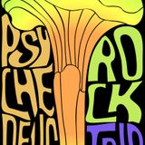 A Psychedelic Rock Trip vol 1