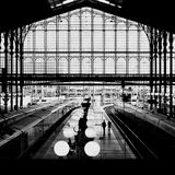 Redj Présent The Last Train
