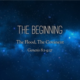 08) The Beginning, The Flood, The Covenant