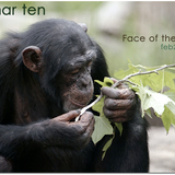 Blu Mar Ten - Face of the Earth (Feb 2006)