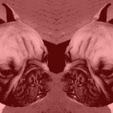 Down and Out with Olly and Will Episode 3