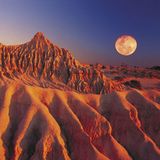 Lush Journey