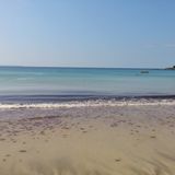 Beach to Club Sampler 2014 Pt.1