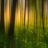 Songs of the Forest 214: Ambient + Chill
