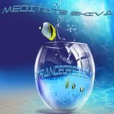 Trancegressiv