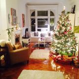 Dec 19: Tree Trimming 2015