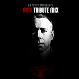 DJ Spot - MCA (Beastie Boys) Tribute Mix (2012)