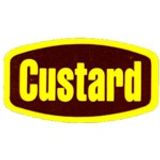 Lumpy Custard