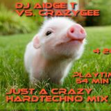 DJ Aidge T vs. crazyGee - Just A Crazy Hardtechno Mix 4 2012 waiting 4 mayday :)