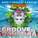GROOVE DE PANDORA # 09 novembro 2018