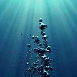 Voices From The Deep