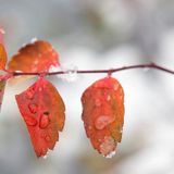 First Snow Liquid Drum & Bass Mix December 2014 by Jake Sick