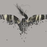 DannyEdwards fm1fm