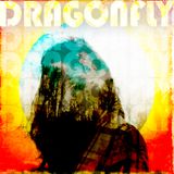DRAGONFLY - SEMBLANCE OF YOU