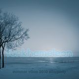 Funkhameleon presents: Summer Vibes 2010 Afterparty
