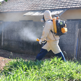 Secretária confirma 101 casos de dengue em Araras; há risco de epidemia.