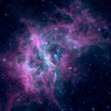Cosmic Garden