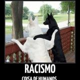 Musica de Corações Esmifradinhos vol.5