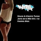 House & Electro Tunes June 2012 Mix Vol.1