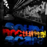 Nocturnal Soundscape