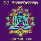 Spiritual Tribe - mixed by DJ SpaceDreams