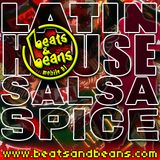 Latin House Salsa Spice