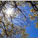 Spring mixtape