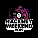 Swedish House Mafia @ Hackney Weekend 2012, UK 23-06-2012