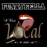 Funky Fella (aka Daddy Serious) - The Vocal Issue