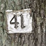41