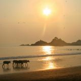 ॐ A GUIDE TO GOA TRANCE ॐ