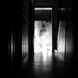 -- Tortured Spirits -- Dj Set Drum'n'bass / Crossbreed / Hardcore (Jan 2016)