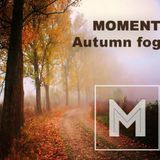 Automn Fog