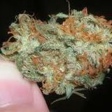 yes i smoke weed so dont cut ur self